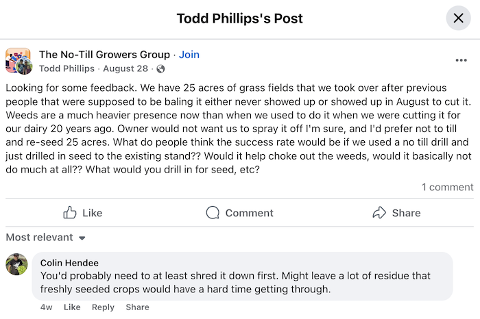 Todd-Phillips