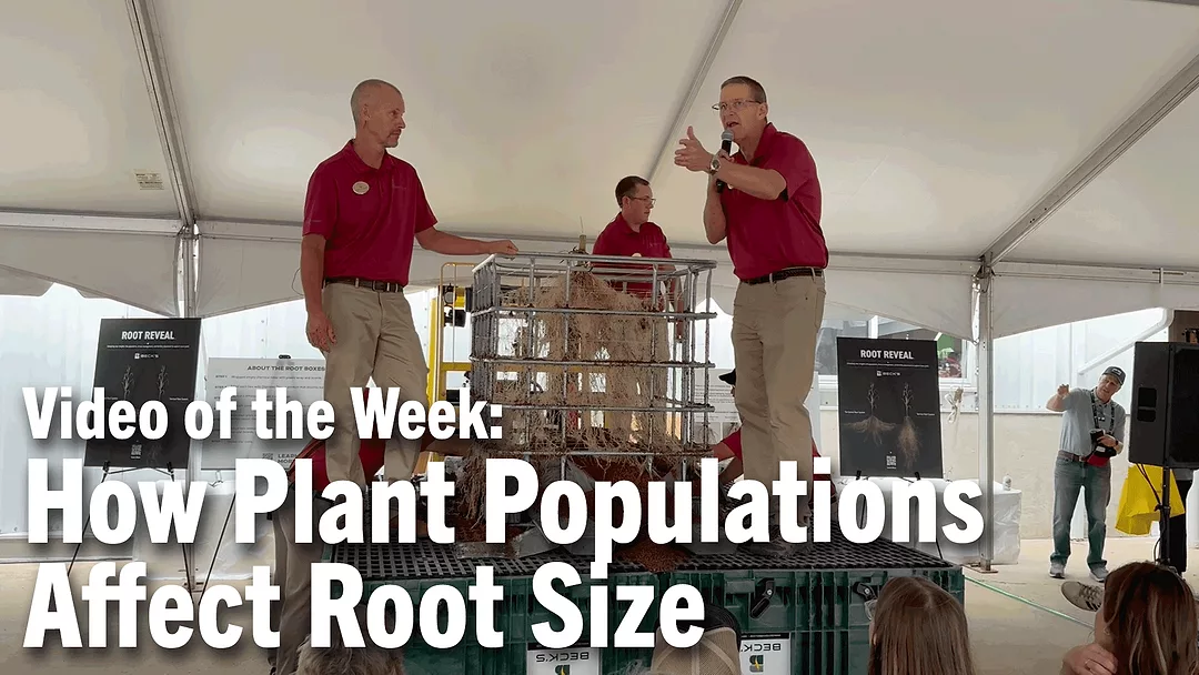 Video-of-the-Week--How-Plant-Populations-Affect-Root-Size.png
