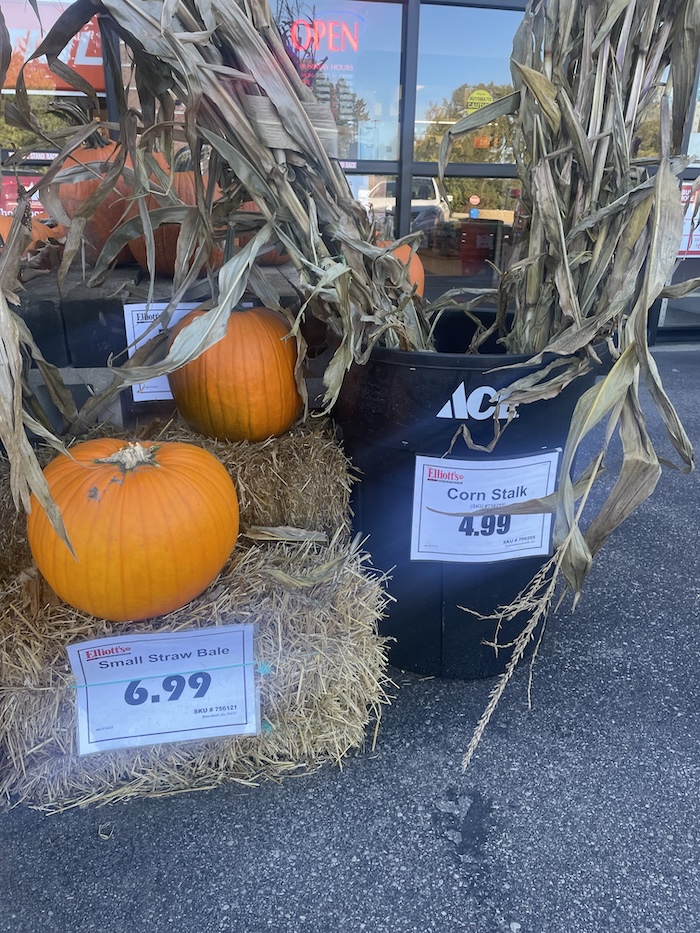 Ace-Hardware-Store-Pumpkin-Hay-Corn-Stalk-For-Sale