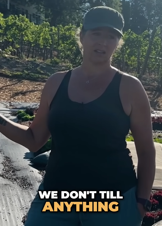 We-dont-Till-NTF-BOTW-YT-Nov-2025