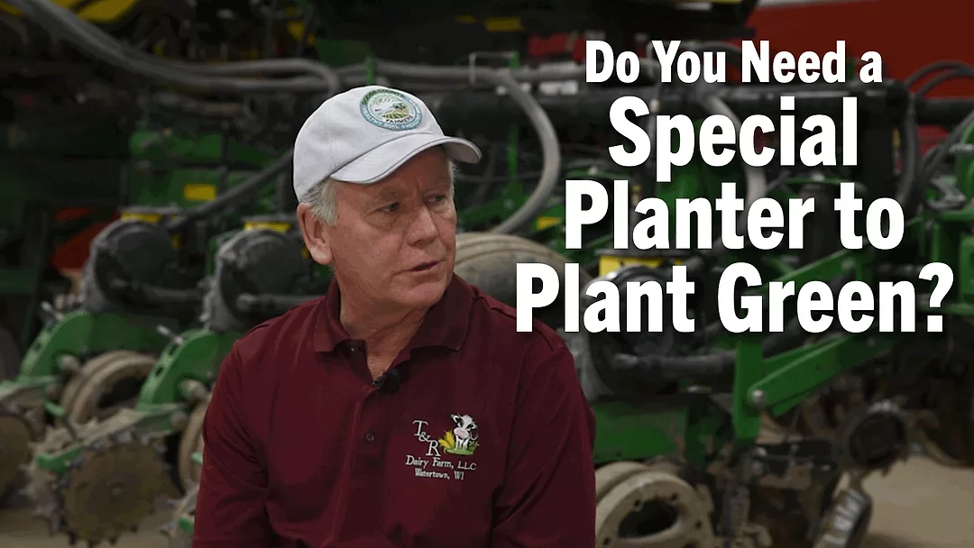 Do-You-Need-a-Special-Planter-to-Plant-Green-.png