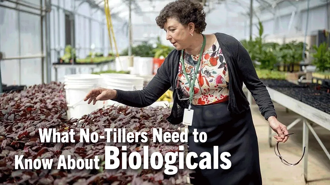 What-No-Tillers-Need-to-Know-About-Biologicals.png