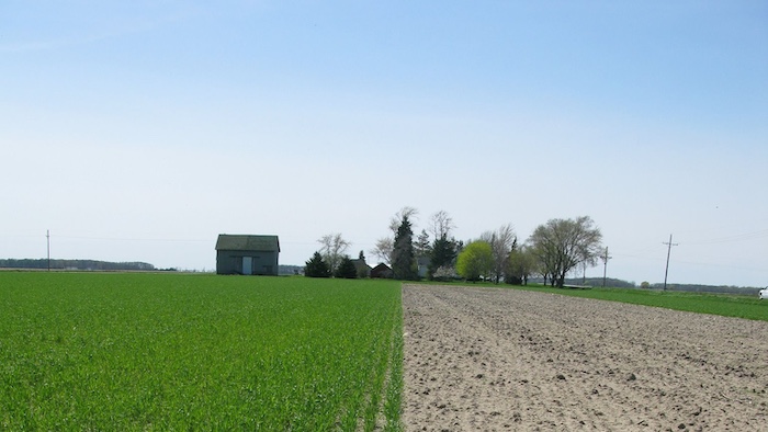 midwest-cover-crops-council.jpg