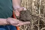 assets.farmjournal.webp