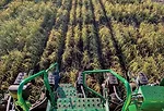 15-inch-32-row-John-Deere-1795-planter.jpg