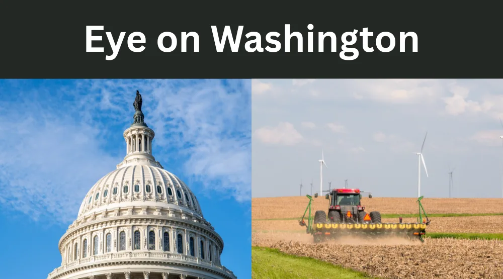 Eye on Washington.png