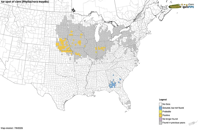 Tar Spot Spreading, No-Tillers Should Be Scouting Corn