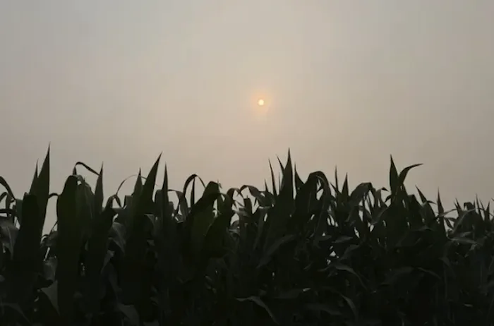 sunrise