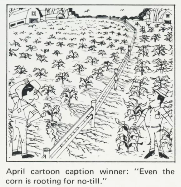 Cartoon 5