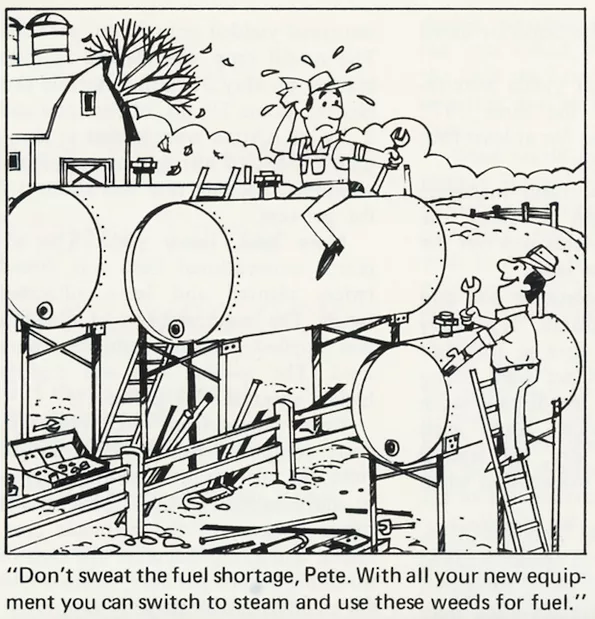 Cartoon 7
