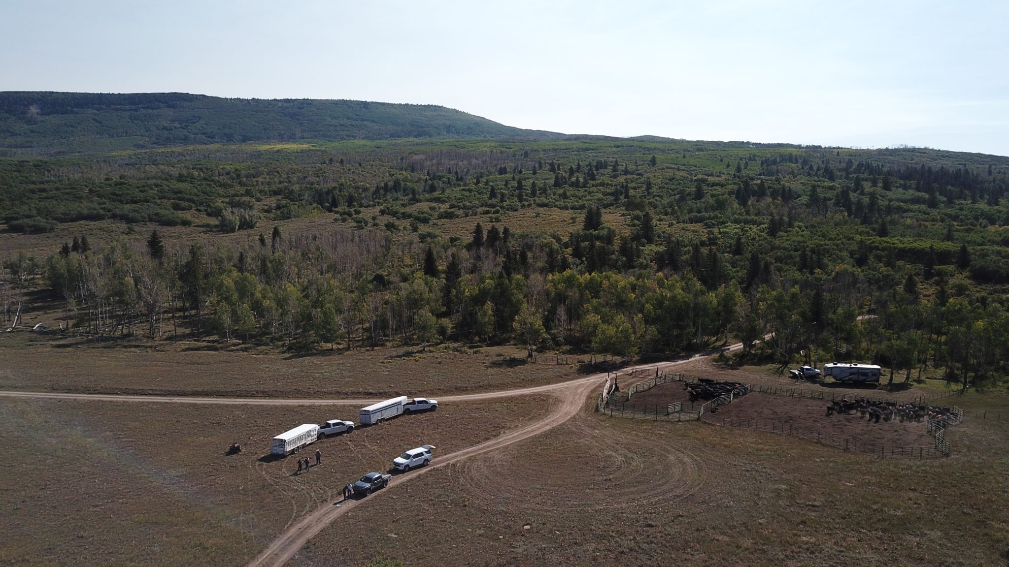 Drone Image of CSU Soil Study