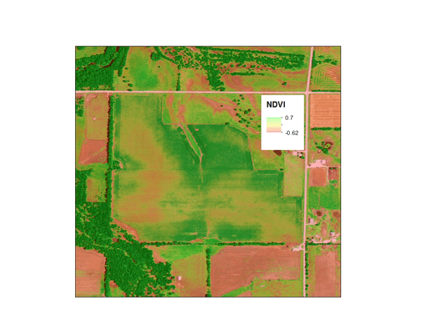 Calculation of normalized difference vegetation index (NDVI) from USDA National Agricultural Imagery Program imagery for the crop production field