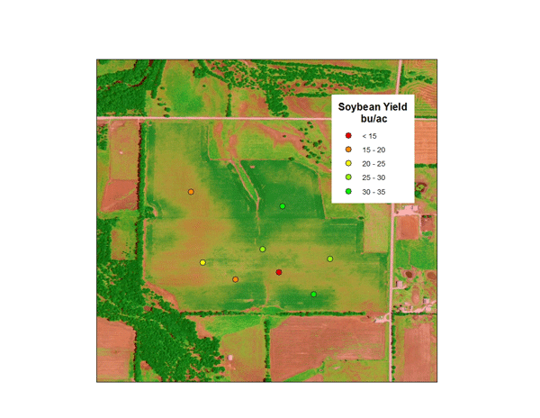 Soybean yield in 2013 from hand-harvested subplots within the field