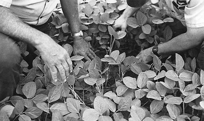 Sold-on-No-till.jpg