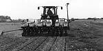 No-Till-A.jpg