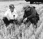 No-Till-Page-8.jpg