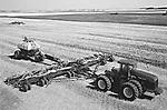wheat-tiff.jpg