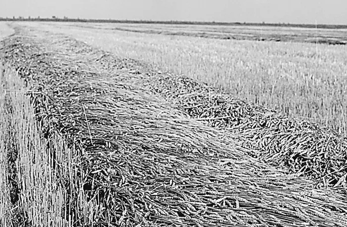 double-acres-1.jpg