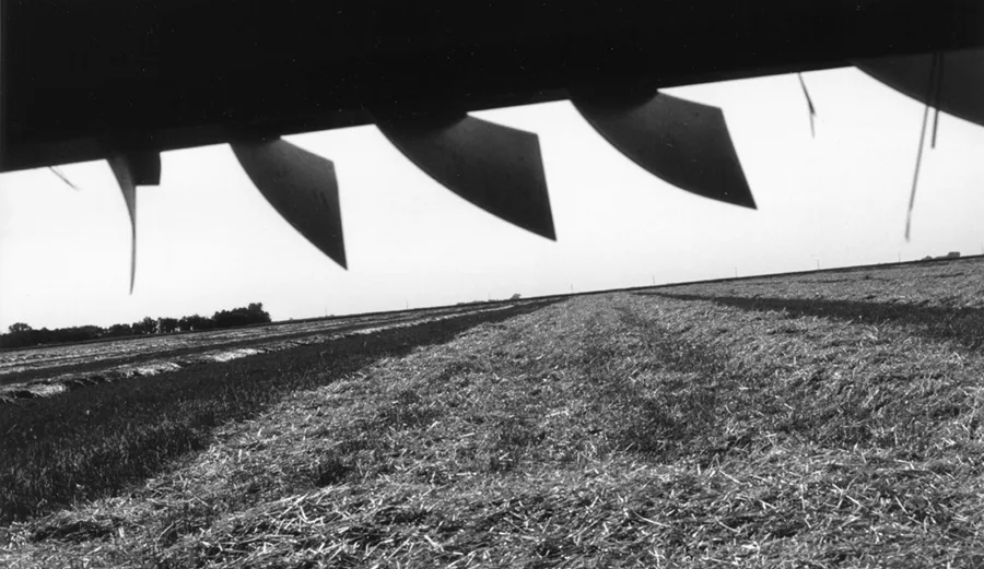 No-Till-Straw.jpg
