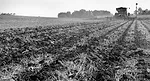 Spring-Strip-Tilling-Works--1.jpg