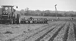 Strip-as-you-No-Till--1.jpg