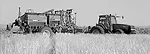 Seed-Right--1.jpg