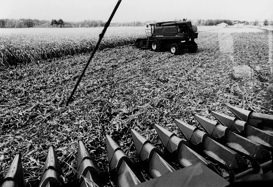 Will-Ultra-Narrow-Rows-Work.jpg