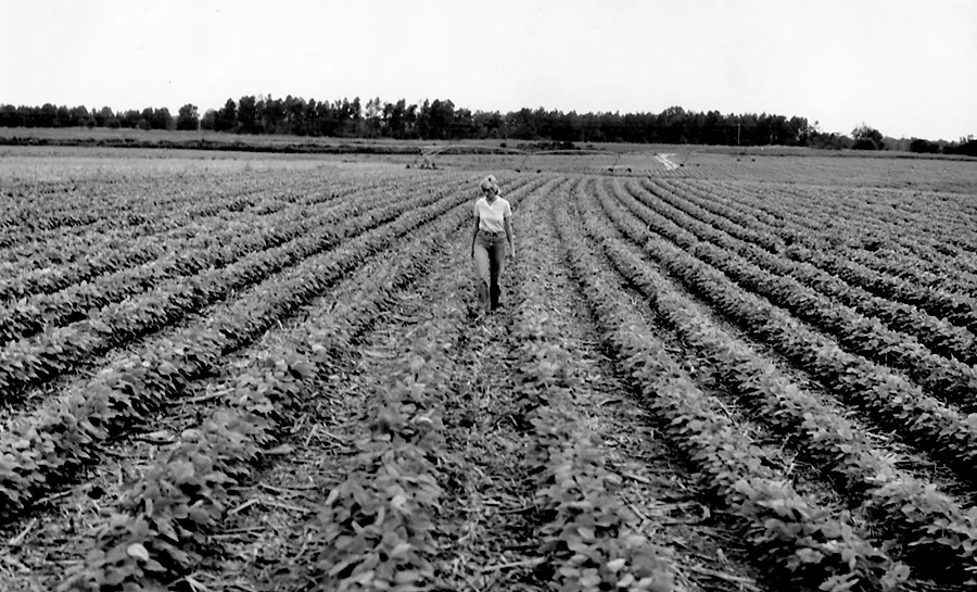 New-Ways-Field-3.jpg