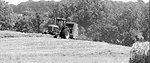 Combining-Effective-Crops.jpg