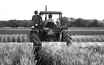 soybeans-wheat.jpg