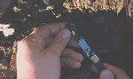 Slugs-5.jpg