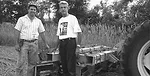 Thick-Mulches-1.jpg