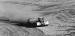 No-Till-Shines-1.jpg