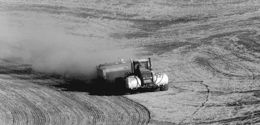 No-Till-Shines-1.jpg