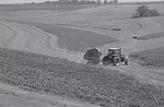 RRAlfalfa_0139.jpg