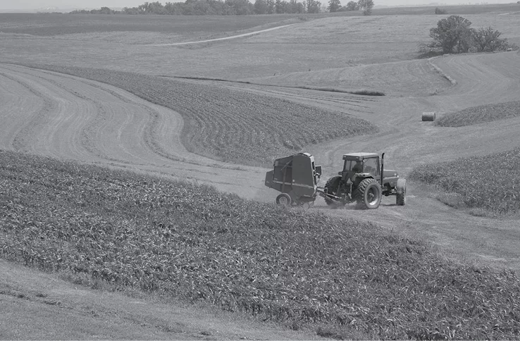 RRAlfalfa_0139.jpg