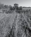 AutoSteer-5.jpg