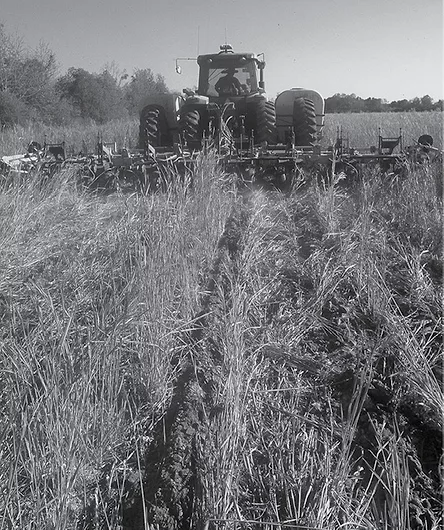 AutoSteer-5.jpg