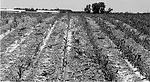 no-till-farmer_5.jpg