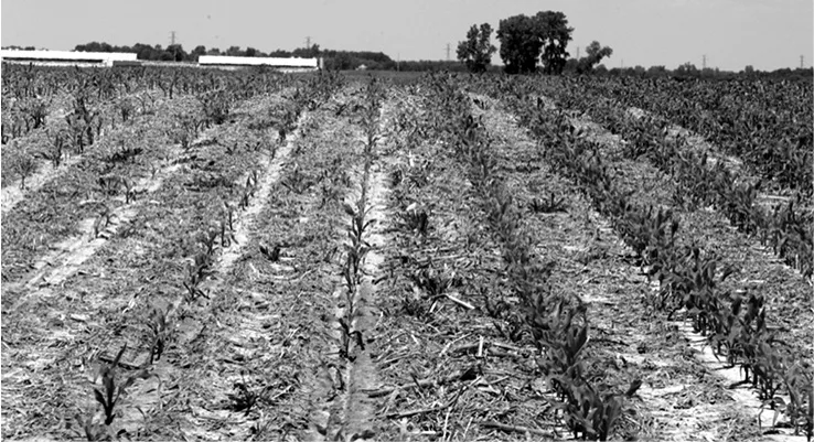 no-till-farmer_5.jpg