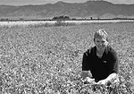 PerryMiller2006O2bw.jpg