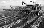 2510S-Strip-Till.jpg