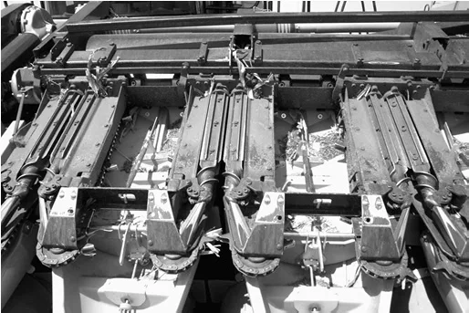 image003stalkroller.jpg