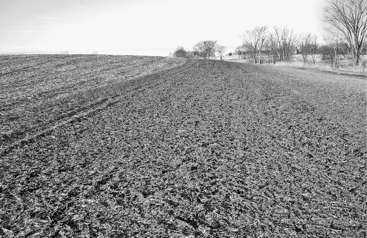 Manure_Straw_ProdSoil_2.jpg