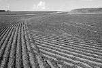 PinpointSpray_3.jpg