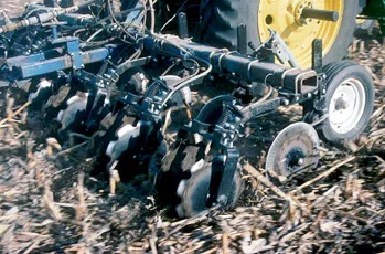 FallNitrogen_3.jpg