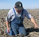 FallSpraying0808_2.jpg