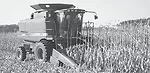 2008-Fall-Harvest-017.jpg