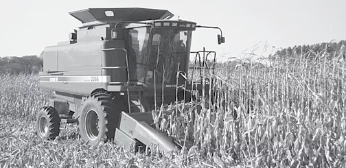 2008-Fall-Harvest-017.jpg