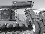 harvesting-cobs-020005.jpg